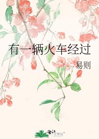 有一辆火车经过